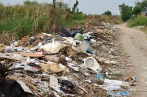 fly tip